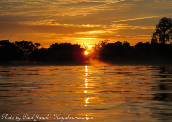 Loving the golden mist 