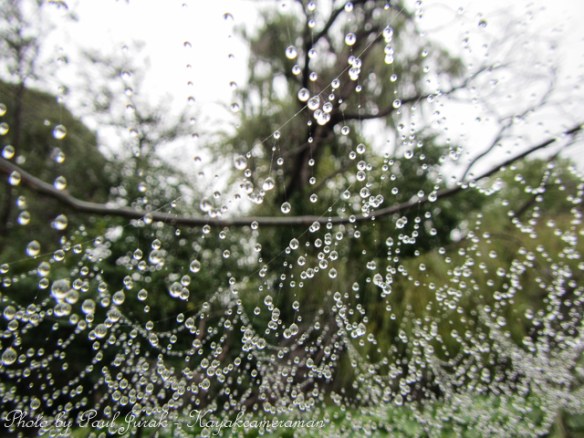 It amazing what you will discover