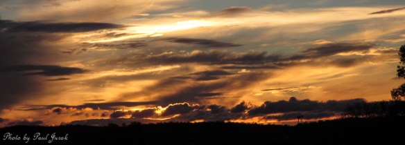 IMG_7709
