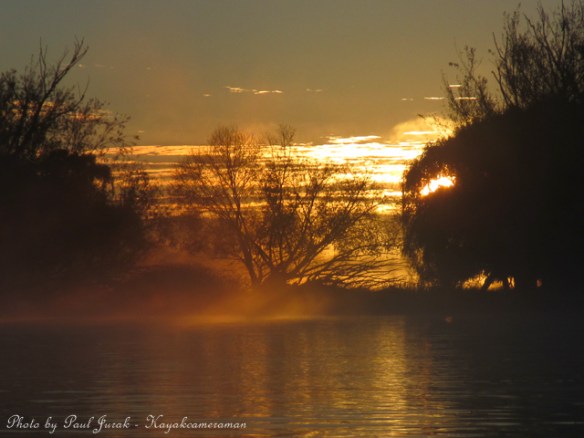 Now the brilliance is beginning. 