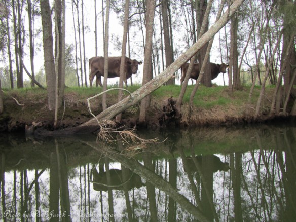 You know when you get that feeling that someone is watching you!