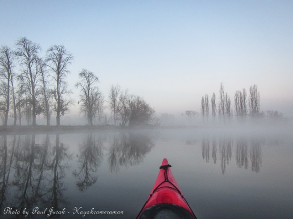 The reflections were excellent 