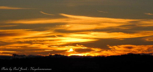 Tuesday Afternoon Treat