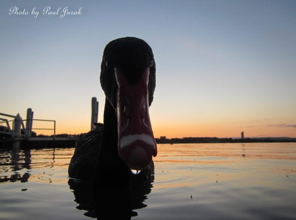 1492343_470369683068096_482532114_o