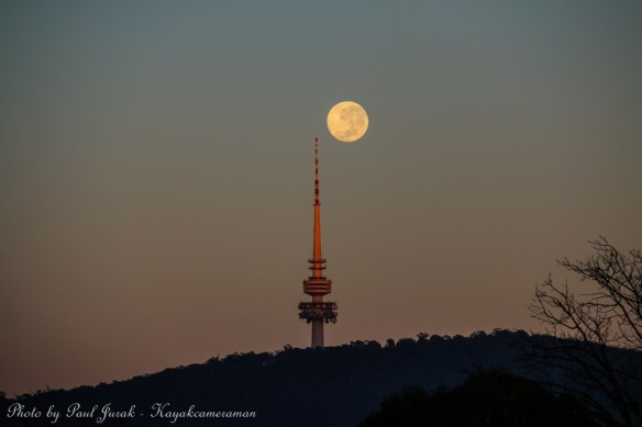 IMG_8393