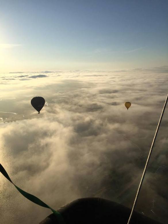 12506530_463043833881871_289267759_n